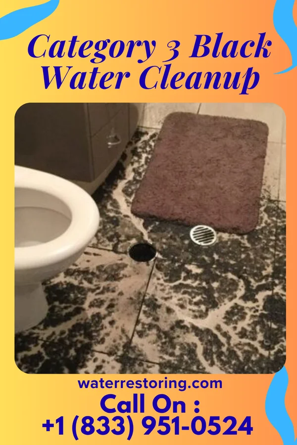 Category 3 Black Water Cleanup in Jacksonville, OR